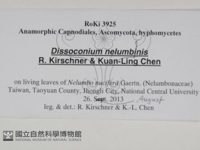 登錄號:F0031014藏品圖，第3張