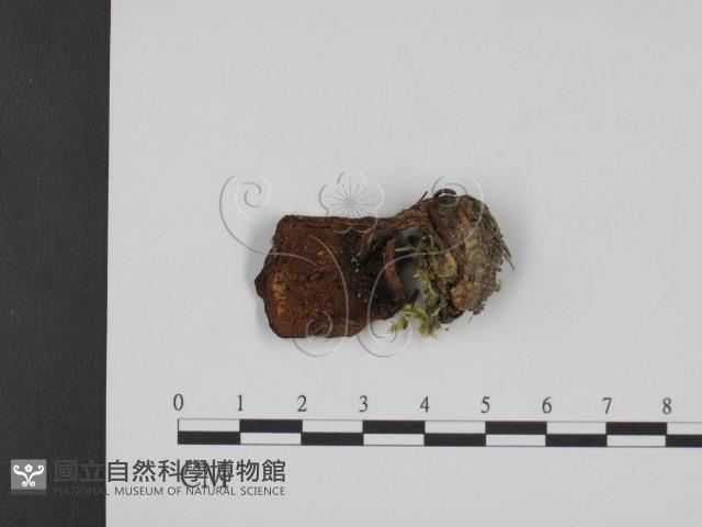 登錄號:F0020314藏品圖，第1張