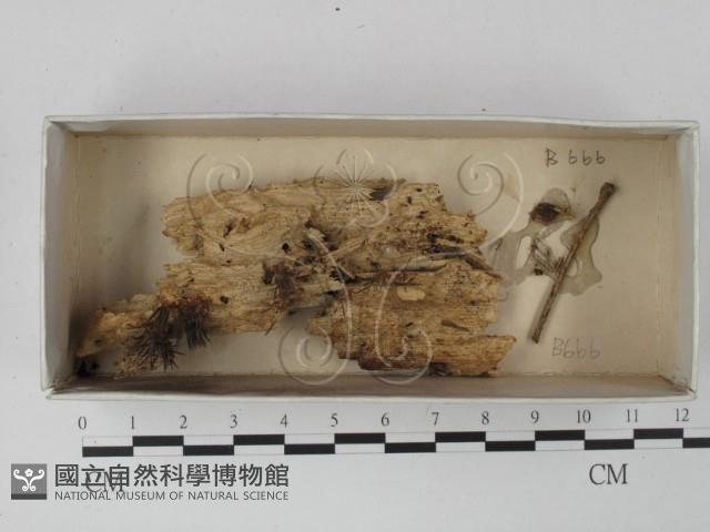 登錄號:F0021314藏品圖，第1張