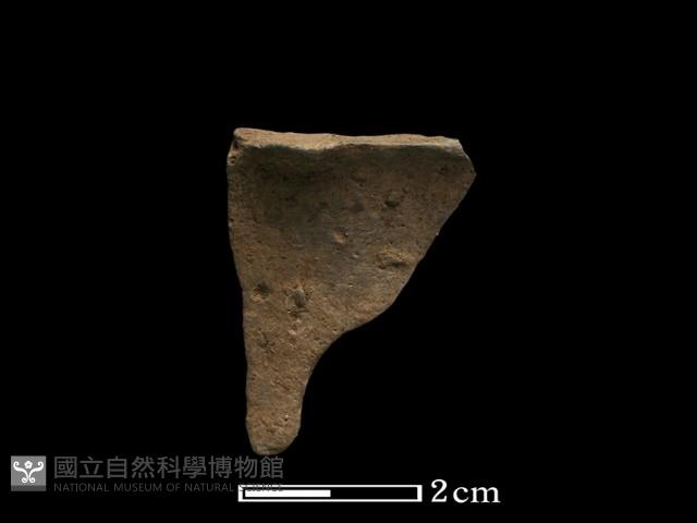 陶片藏品圖，第1張