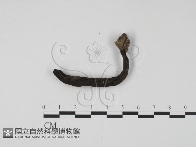 登錄號:F0022254藏品圖，第1張