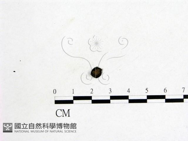登錄號:F0012254藏品圖，第1張