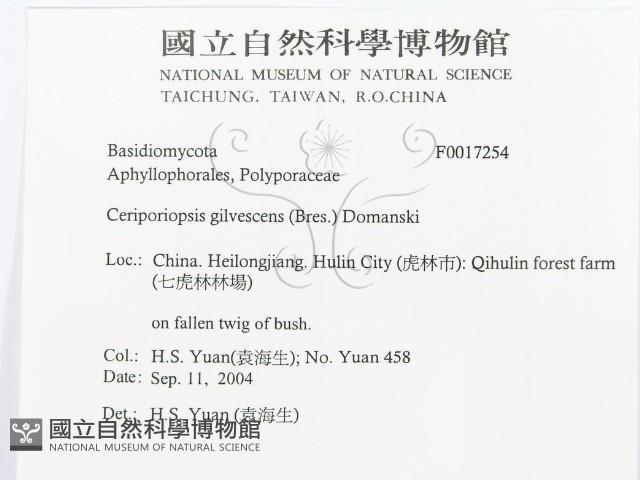 登錄號:F0017254藏品圖，第3張