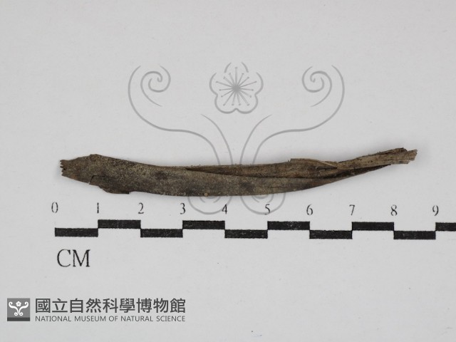 登錄號:F0030854藏品圖，第1張