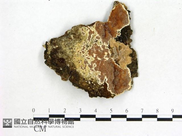 登錄號:F0006854藏品圖，第1張