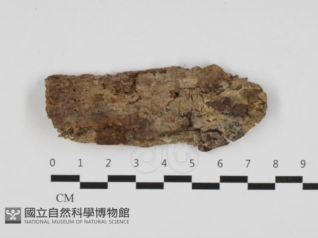 登錄號:F0032854藏品圖，第1張