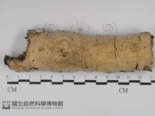 登錄號:F0029854藏品圖，第1張