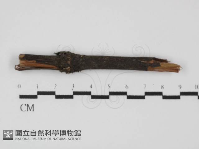 登錄號:F0013854藏品圖，第1張