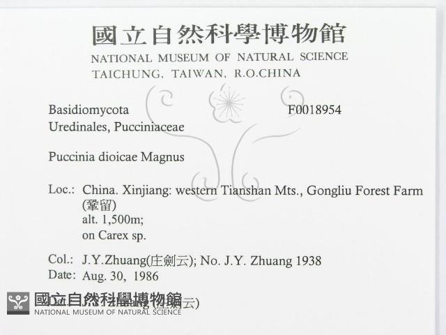 登錄號:F0018954藏品圖，第3張