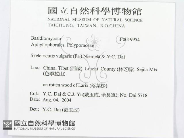 登錄號:F0019954藏品圖，第3張