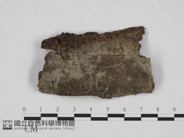 登錄號:F0023954藏品圖，第1張