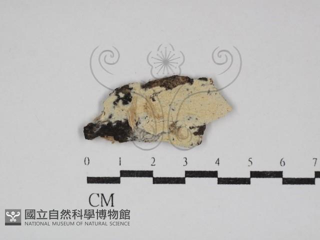 登錄號:F0030654藏品圖，第1張