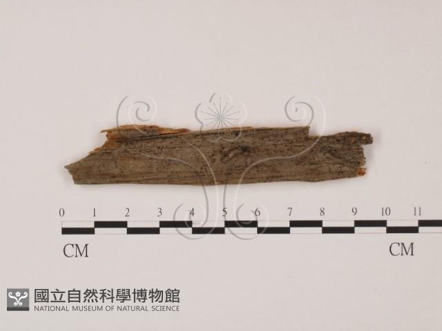登錄號:F0011654藏品圖，第1張