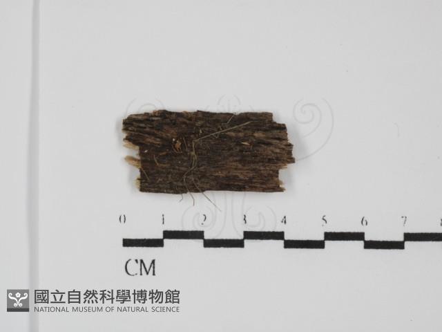 登錄號:F0031654藏品圖，第1張