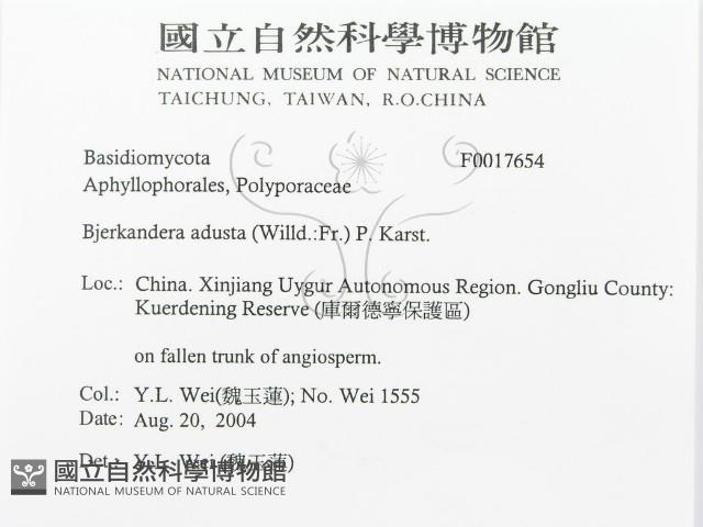 煙管菌藏品圖，第3張