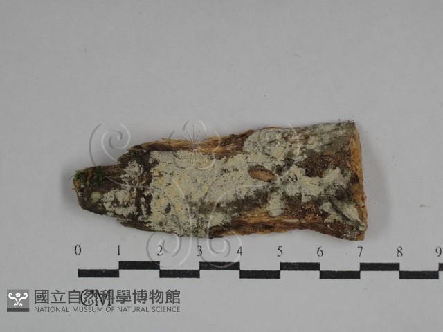 登錄號:F0029654藏品圖，第1張