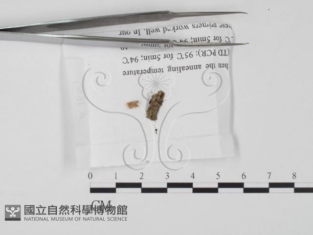 館號:F0019654藏品圖，第1張