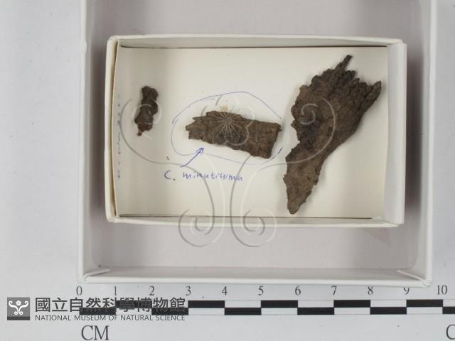 登錄號:F0018454藏品圖，第1張