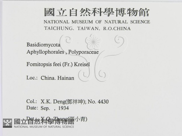 登錄號:F0016454藏品圖，第3張
