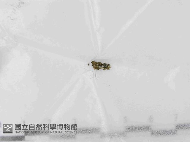 登錄號:F0021454藏品圖，第1張