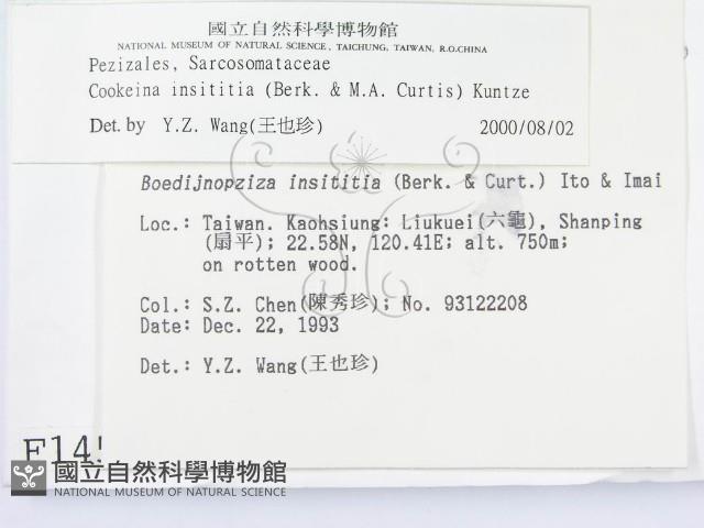 登錄號:F0001454藏品圖，第3張