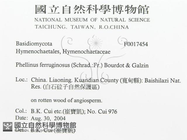 登錄號:F0017454藏品圖，第3張