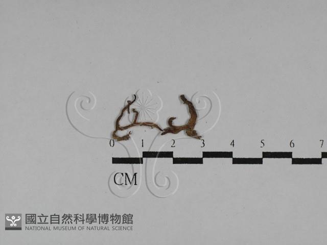 登錄號:F0028754藏品圖，第1張