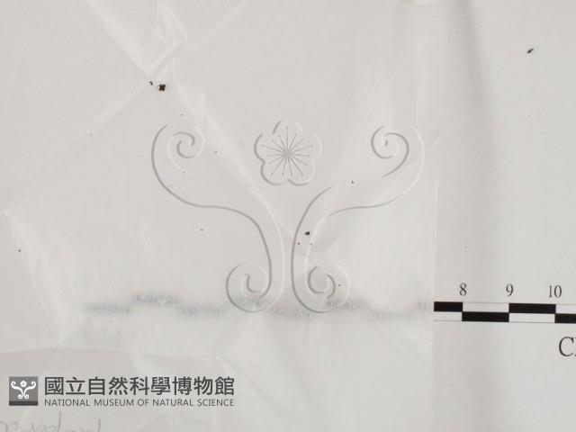 登錄號:F0025754藏品圖，第1張