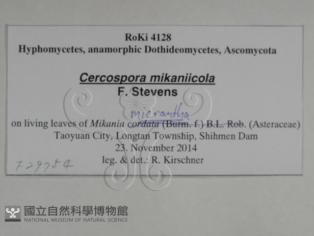 登錄號:F0029754藏品圖，第3張