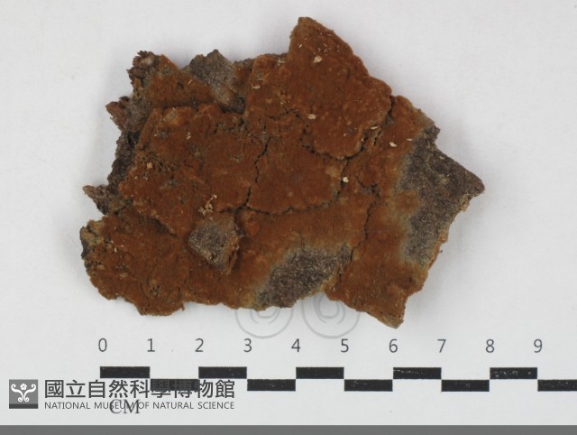 登錄號:F0033754藏品圖，第1張