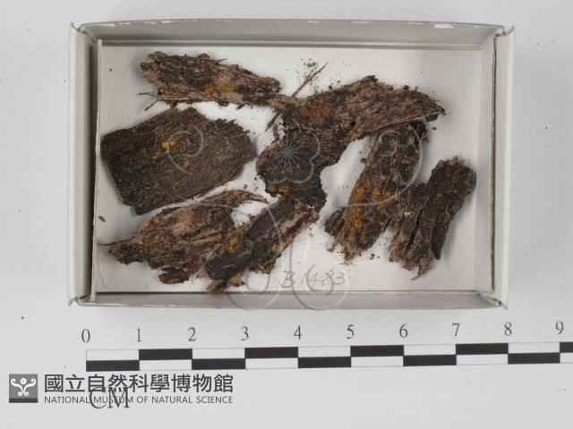 登錄號:F0018554藏品圖，第1張