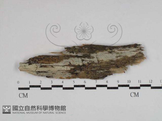 登錄號:F0030554藏品圖，第1張