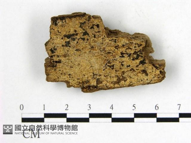 登錄號:F0006554藏品圖，第1張