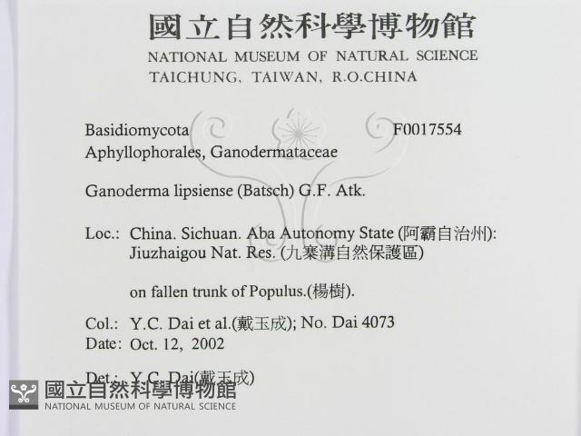 登錄號:F0017554藏品圖，第3張