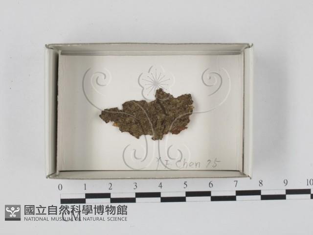 登錄號:F0018154藏品圖，第1張