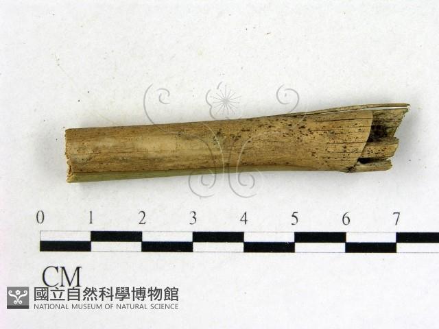 登錄號:F0015154藏品圖，第1張