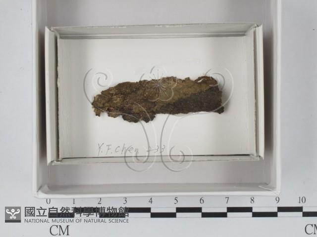 登錄號:F0018054藏品圖，第1張