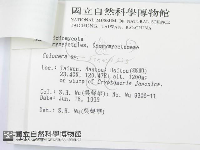 登錄號:F0001054藏品圖，第3張