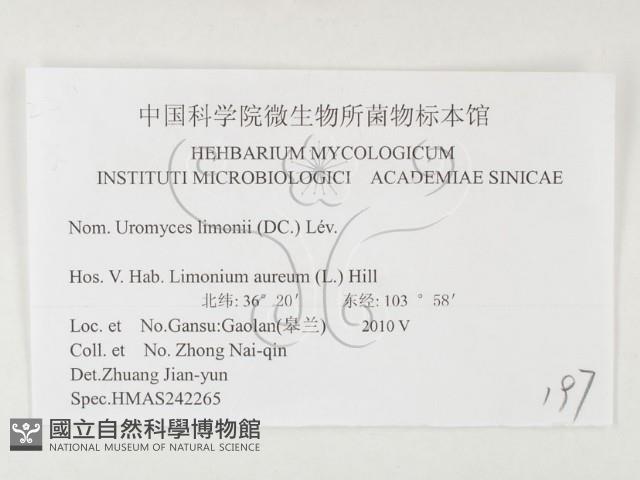 登錄號:F0026354藏品圖，第3張