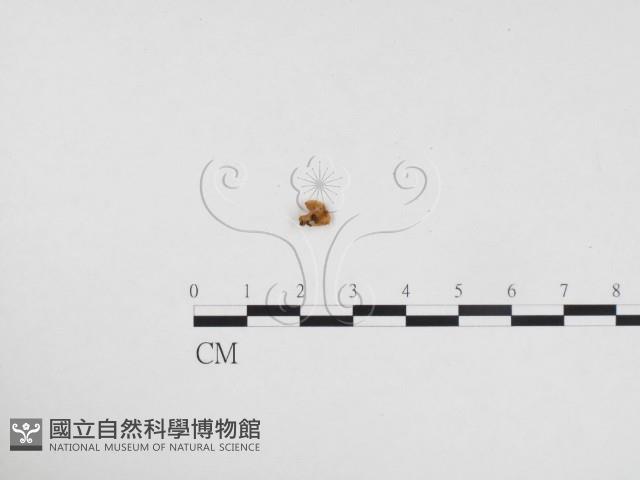 登錄號:F0024354藏品圖，第1張