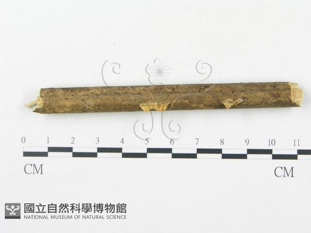 登錄號:F0012354藏品圖，第1張