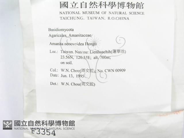 登錄號:F0003354藏品圖，第3張