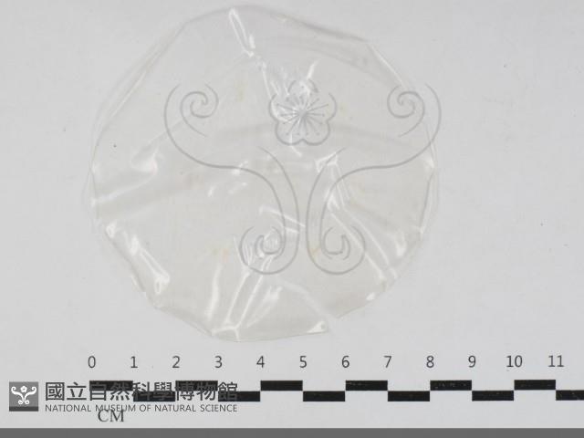 登錄號:F0033354藏品圖，第1張