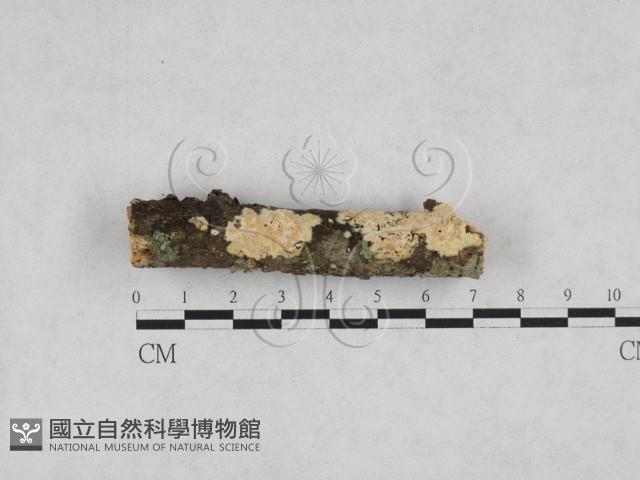 登錄號:F0028244藏品圖，第1張