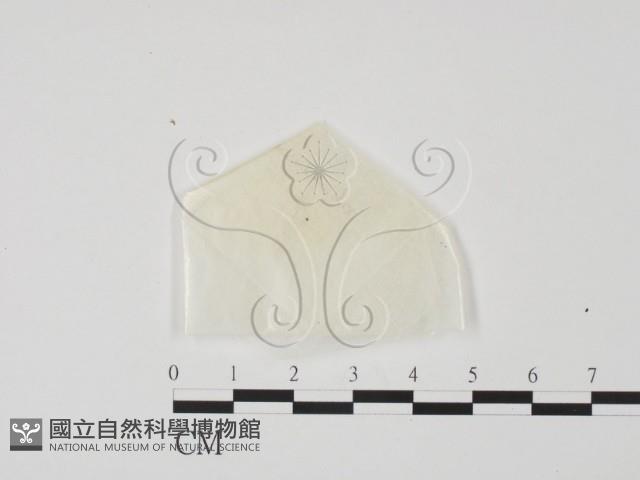 登錄號:F0002244藏品圖，第1張