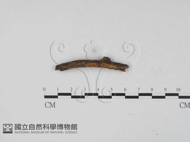 登錄號:F0012244藏品圖，第1張