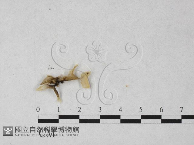 登錄號:F0027244藏品圖，第1張