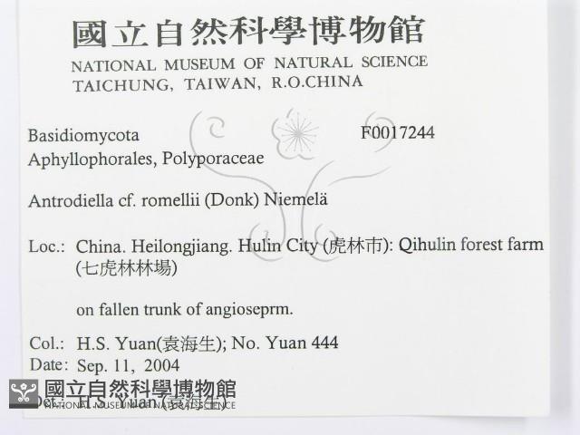 登錄號:F0017244藏品圖，第3張