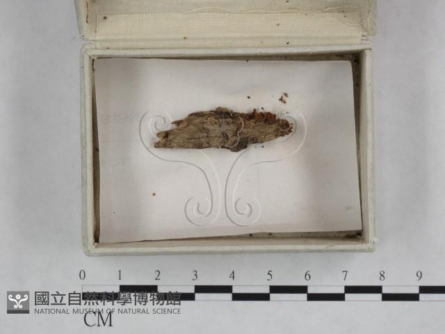 登錄號:F0023244藏品圖，第1張