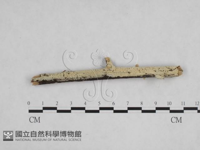 登錄號:F0024844藏品圖，第1張